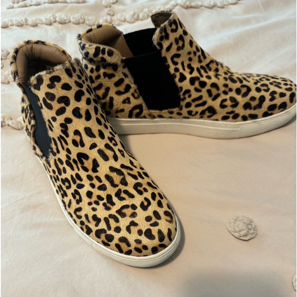 Coconuts by Matisse. Size7.5 M‎